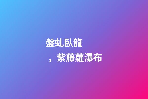 盤虬臥龍，紫藤蘿瀑布